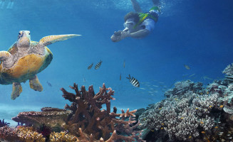 Photo courtesy of Australia.com