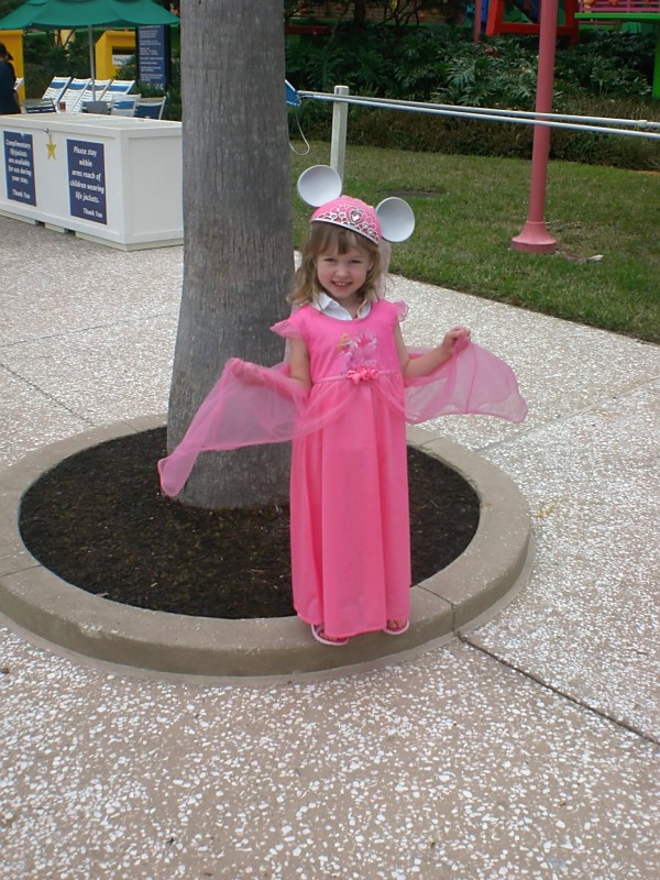 Disney Aurora Princess Nightgown