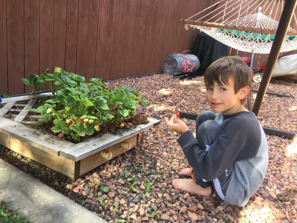 summer outdoor activities for kids planting - Colorado Mountain Mom