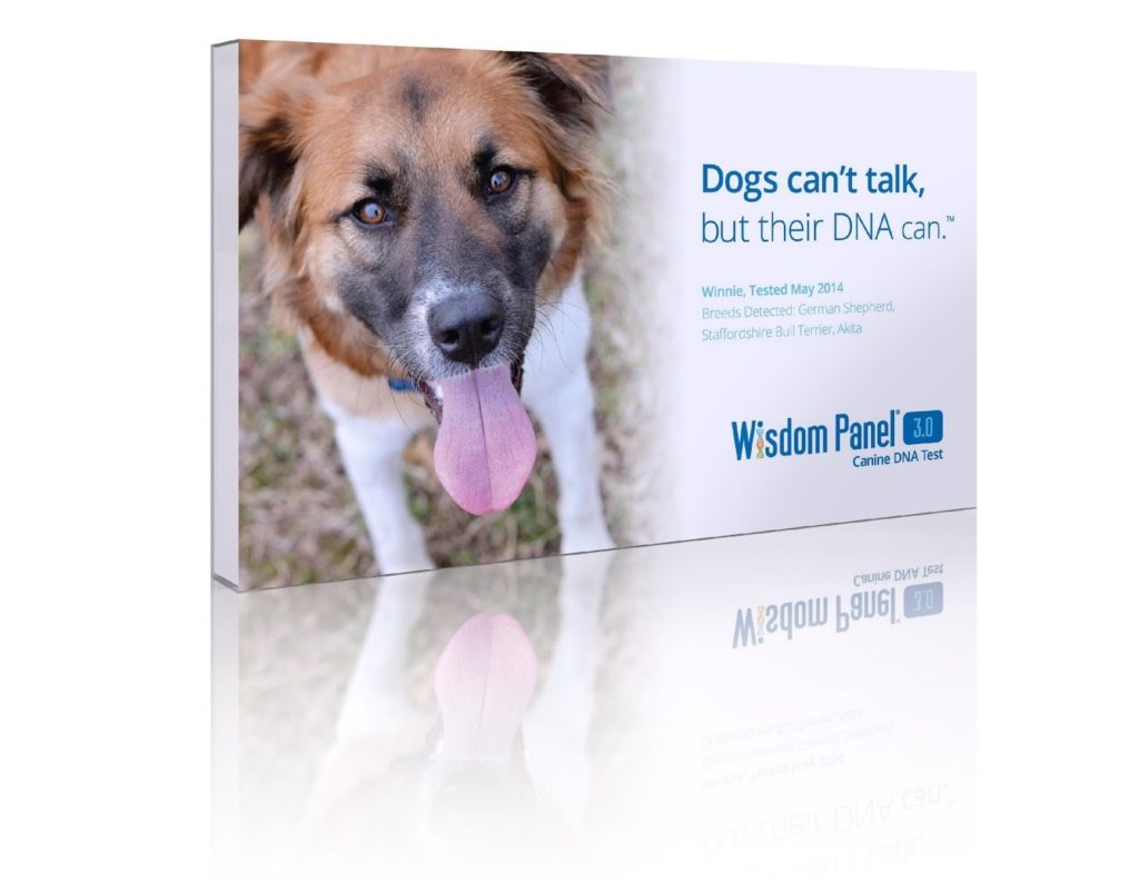 Wisdom Panel Dog DNA Testing