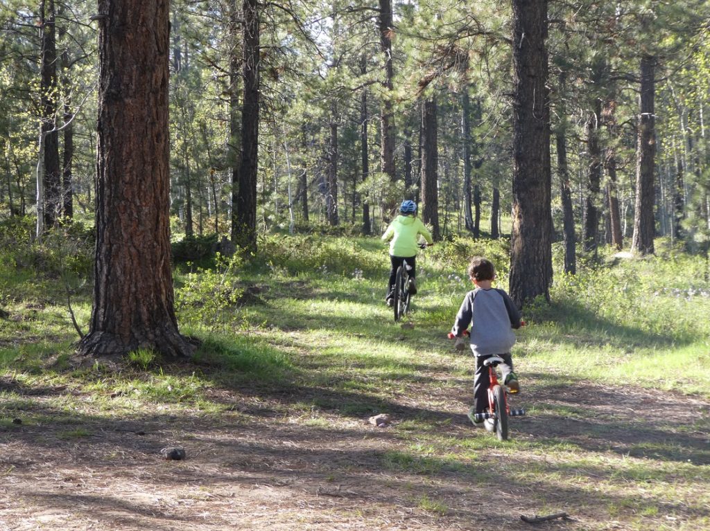 Things You Need for a Family Biking Adventure 3