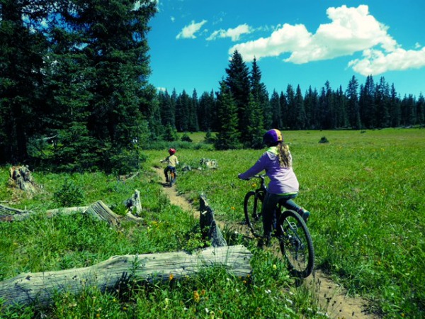 Family Mountain Biking Sharpie Extreme Adventure kids on trail