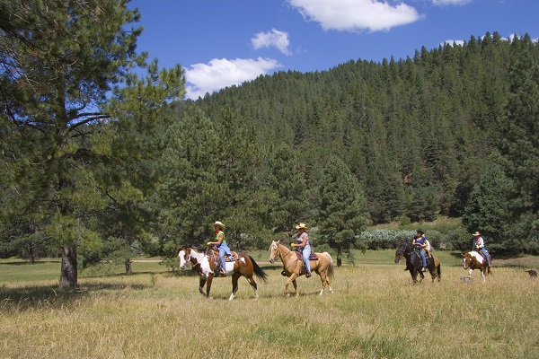 Horseback riding in the Lincoln National Forest, near Ruidoso, New Mexico, USA.