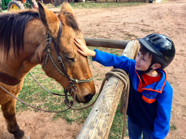 Sylvan Dale Ranch boy bonding with his horse