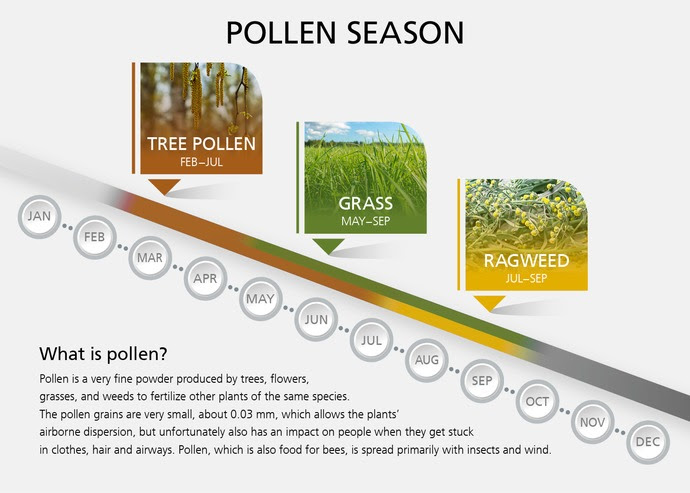 Tips for Allergy Season Pollen chart