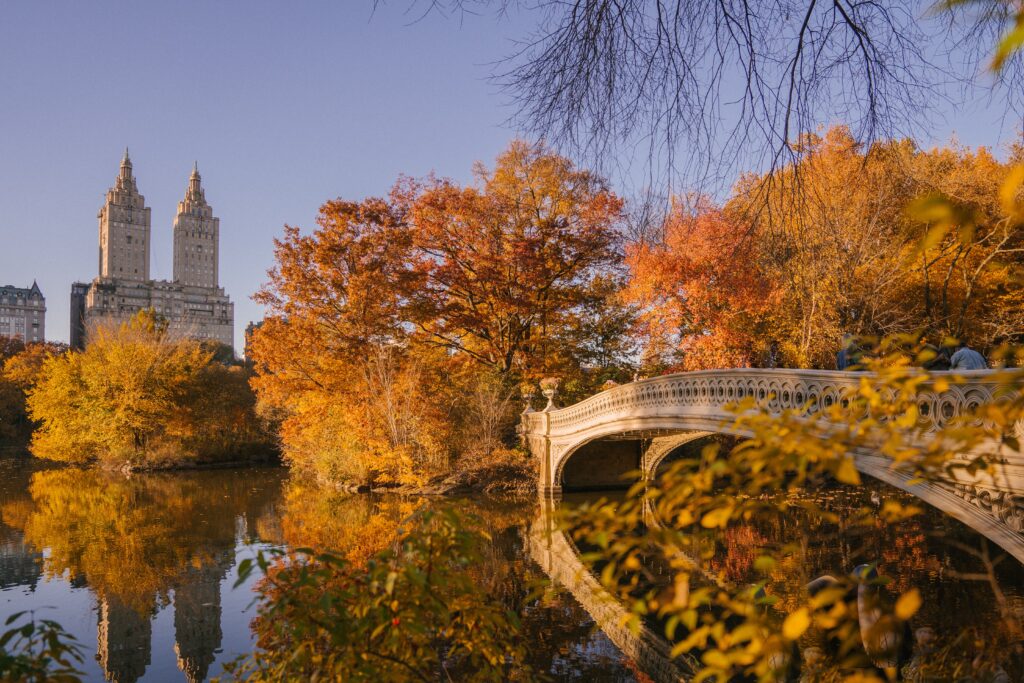 Bow Bridge crossing - Photo by Marta Wave from Pexels