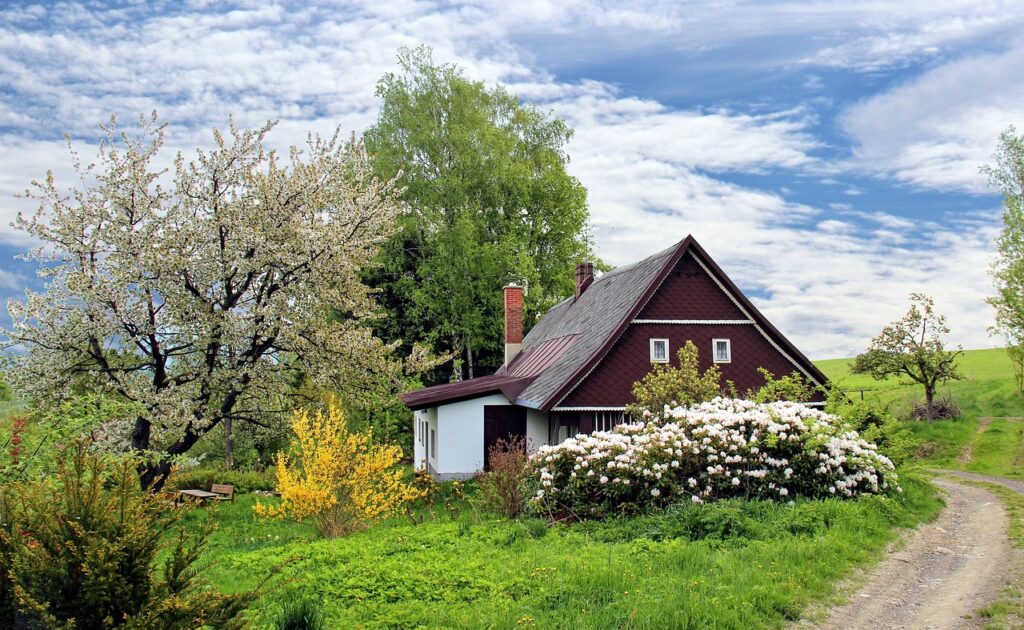 cottage home in trees